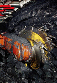 Coal