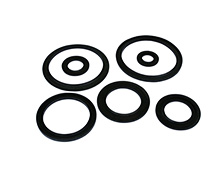 volute liner seals